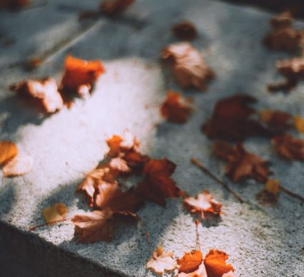 autumn fallen leaves on gravestone